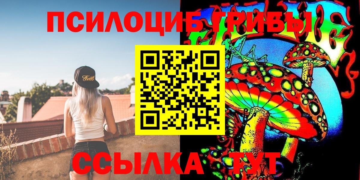 Галлюциногенные грибы Psilocybine cubensis  Вход с VPN  Северск 