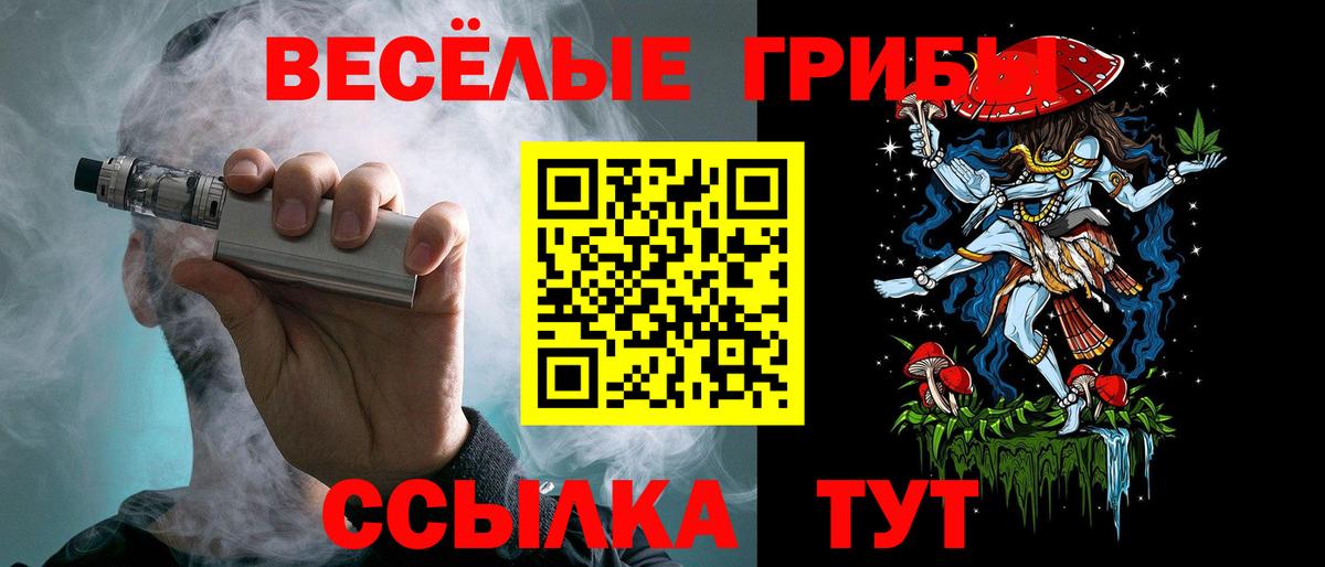 Псилоцибиновые грибы мухоморы Северск